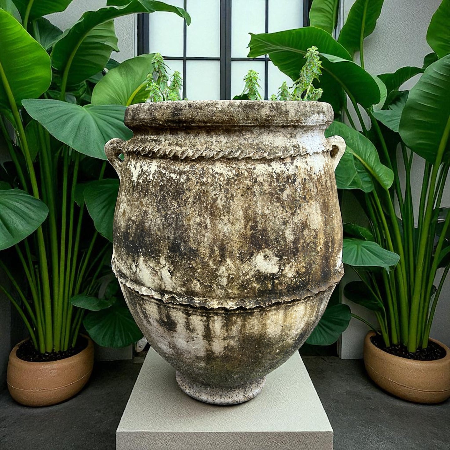 Sahara clay pot