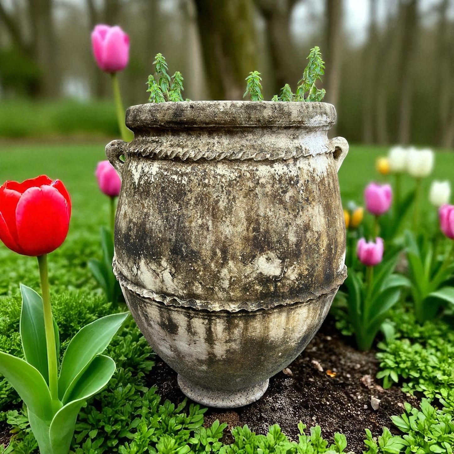 Sahara clay pot