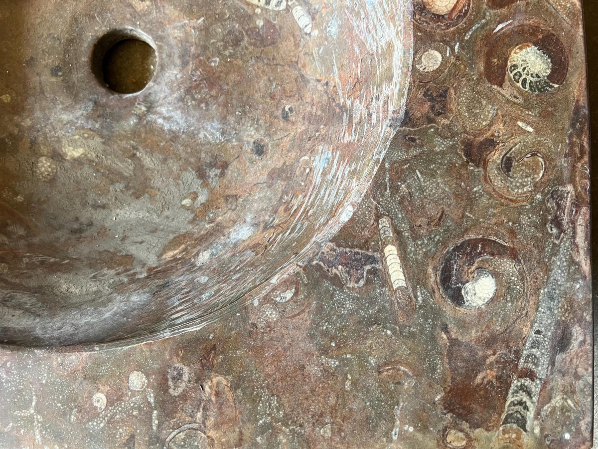 Fossil Marble Sink, Moroccan Sahara Vessel Basin, Unique Design