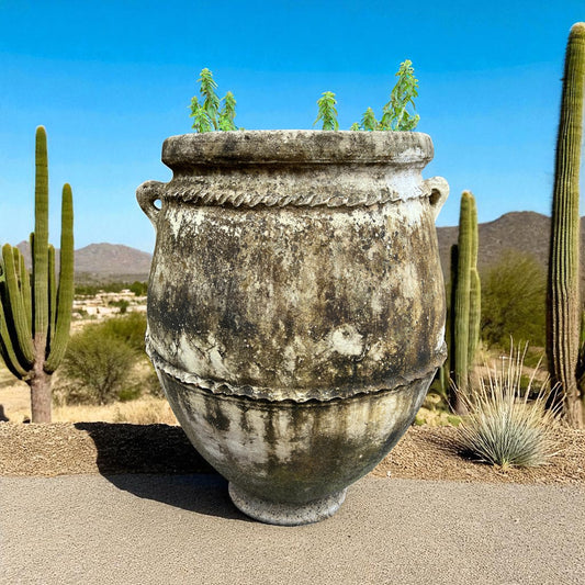 Large decorative pot with small plants in a desert setting with cacti and blue sky.