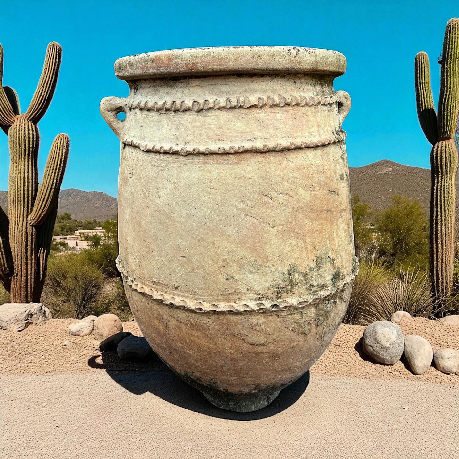 Large ceramic pot in a desert setting with cacti and clear blue sky