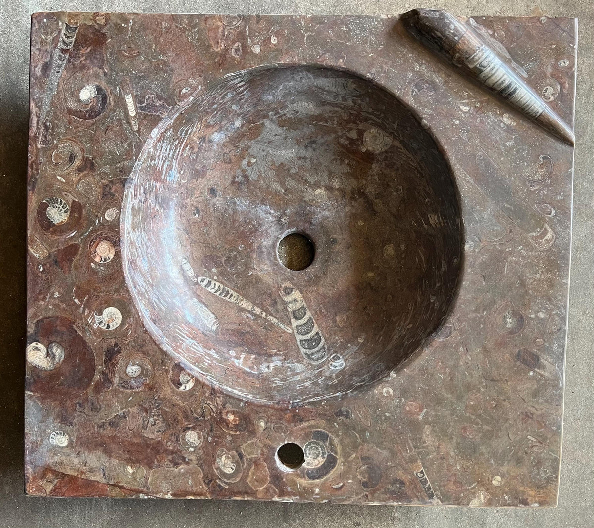 Fossil Marble Sink, Moroccan Sahara Vessel Basin, Unique Design