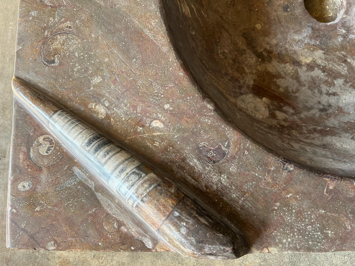 Fossil Marble Sink, Moroccan Sahara Vessel Basin, Unique Design