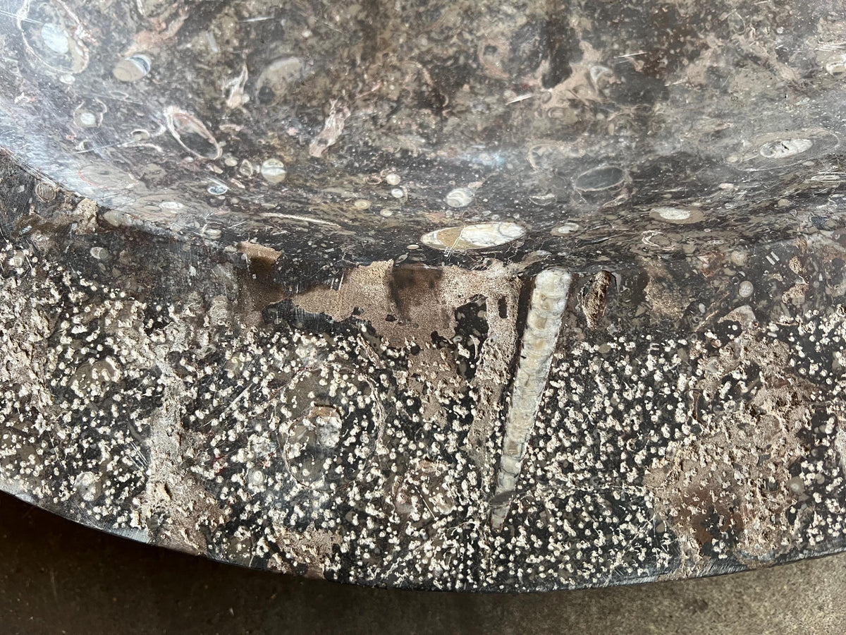 Fossil Marble Sink: Moroccan Sahara Stone Vessel, 27” x 18.5