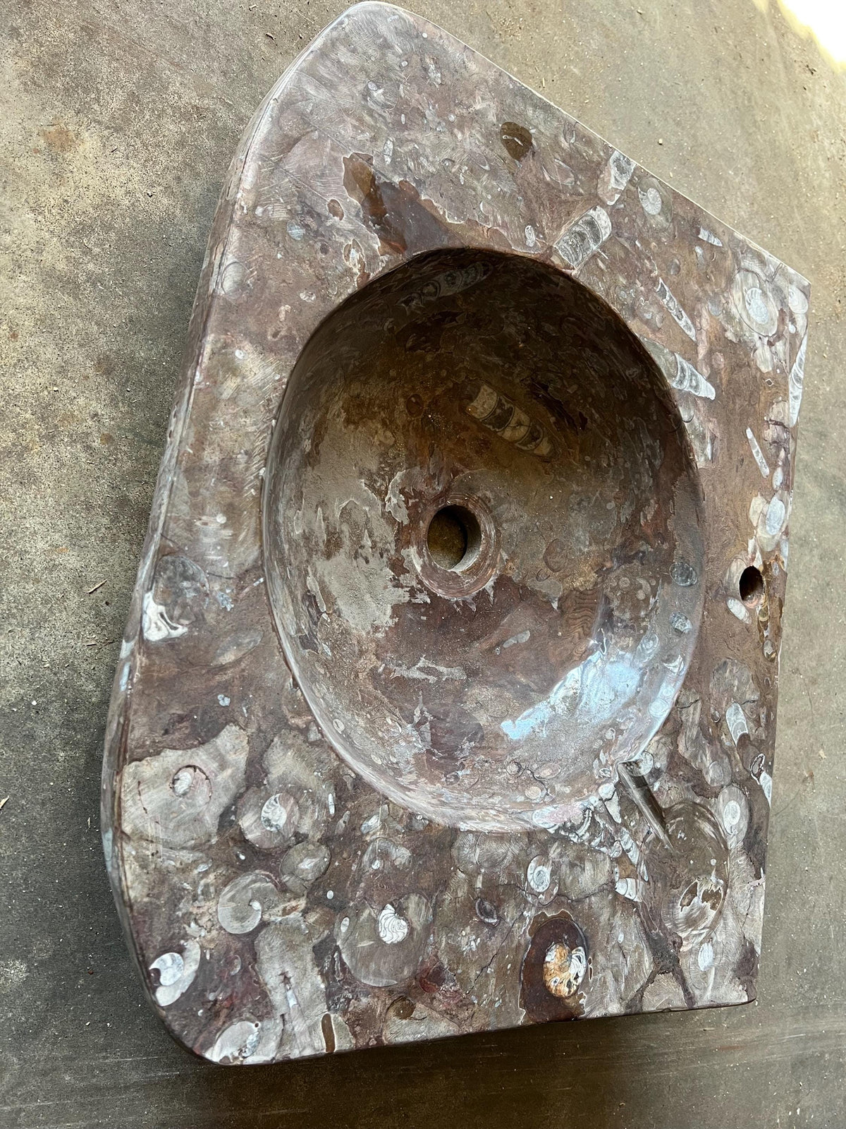 Moroccan Sahara Fossil Marble Sink: One-of-a-Kind Stone Rissani Vessel