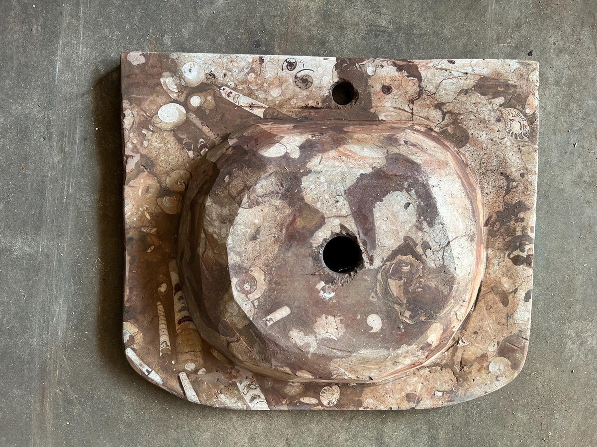 Moroccan Sahara Fossil Marble Sink: One-of-a-Kind Stone Rissani Vessel
