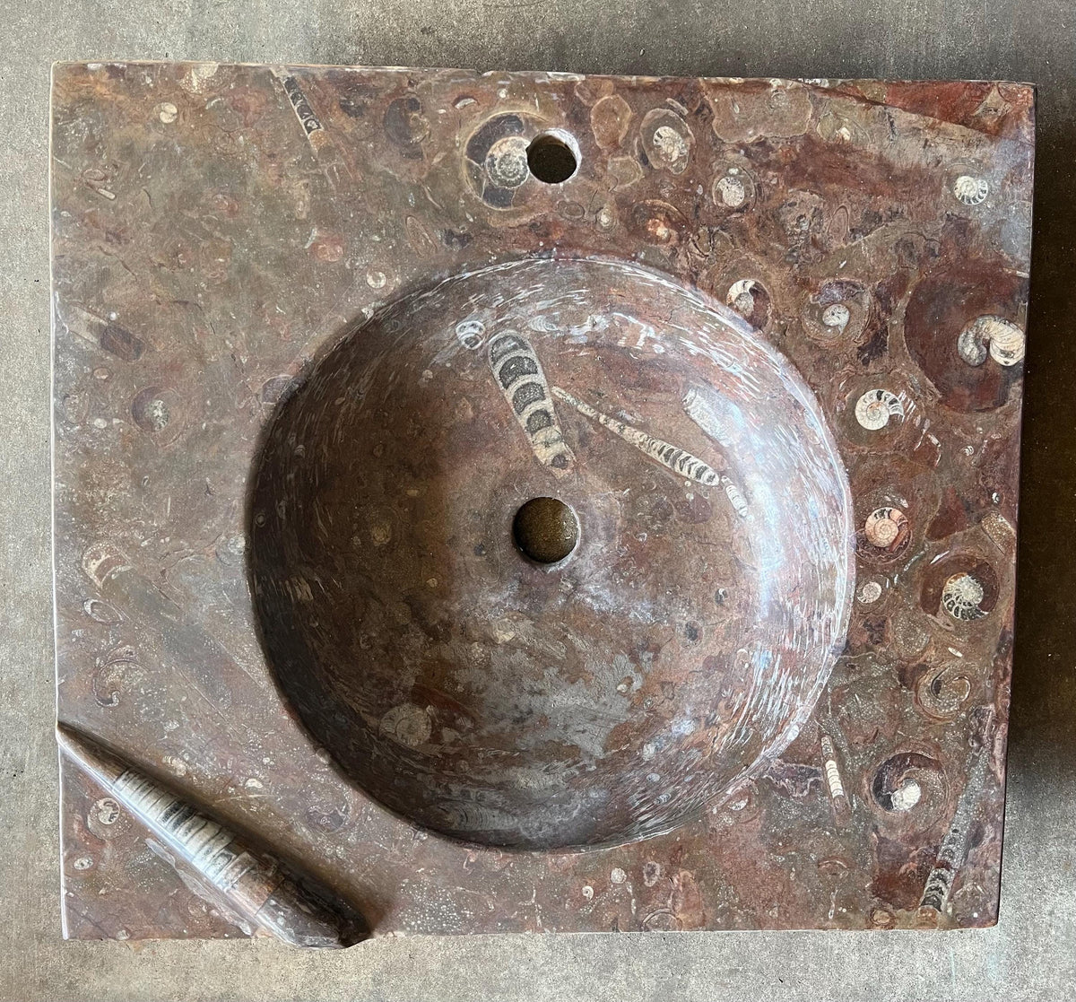 Fossil Marble Sink, Moroccan Sahara Vessel Basin, Unique Design