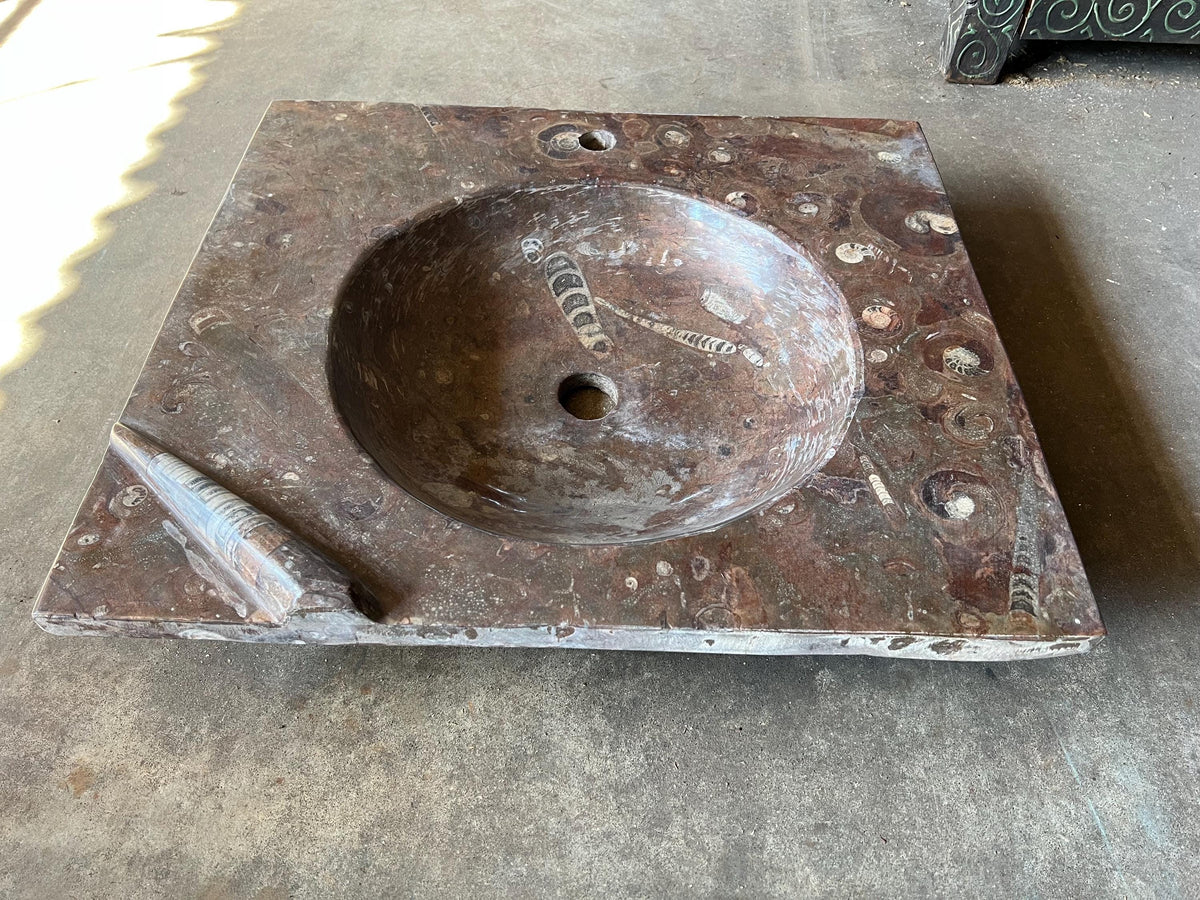 Fossil Marble Sink, Moroccan Sahara Vessel Basin, Unique Design