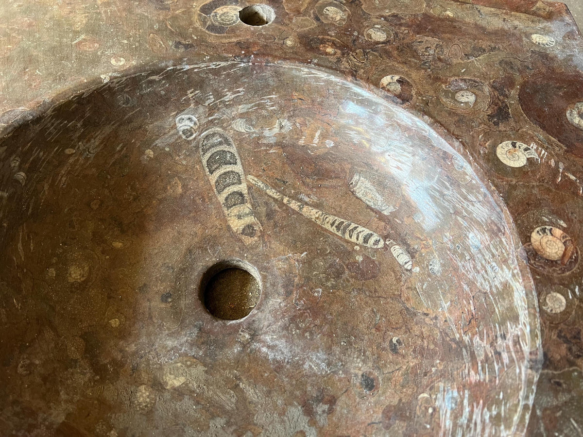 Fossil Marble Sink, Moroccan Sahara Vessel Basin, Unique Design