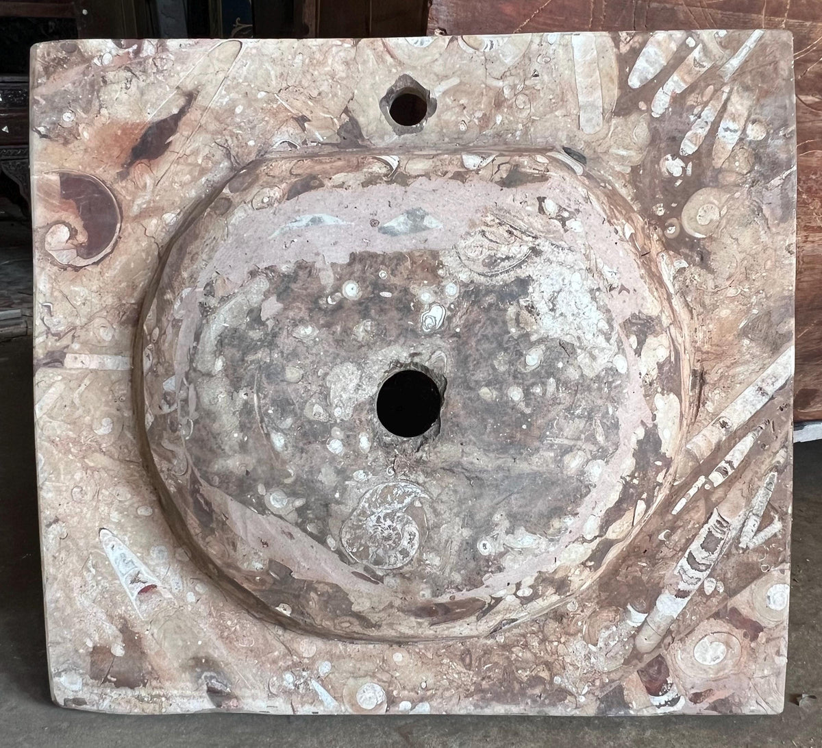 Fossil Marble Sink, Moroccan Sahara Vessel Basin, Unique Design