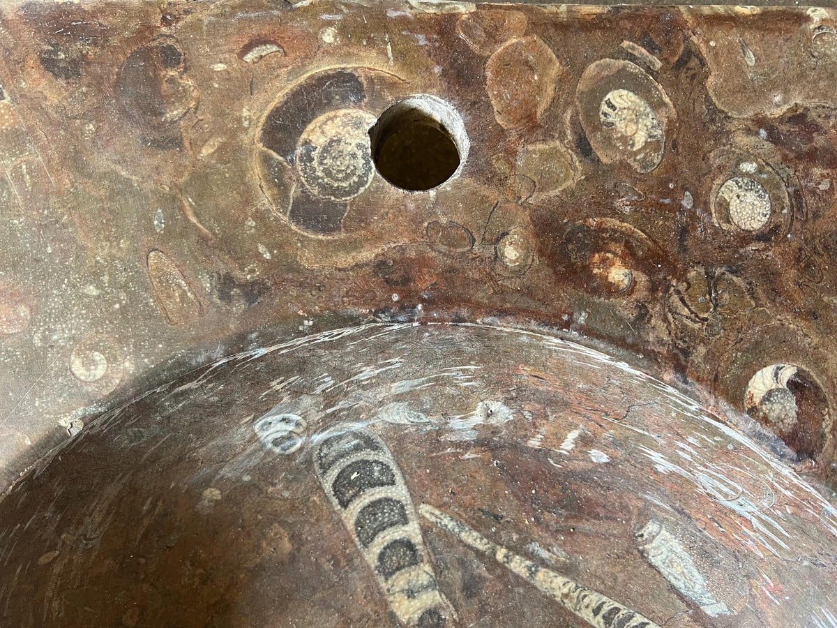 Fossil Marble Sink, Moroccan Sahara Vessel Basin, Unique Design