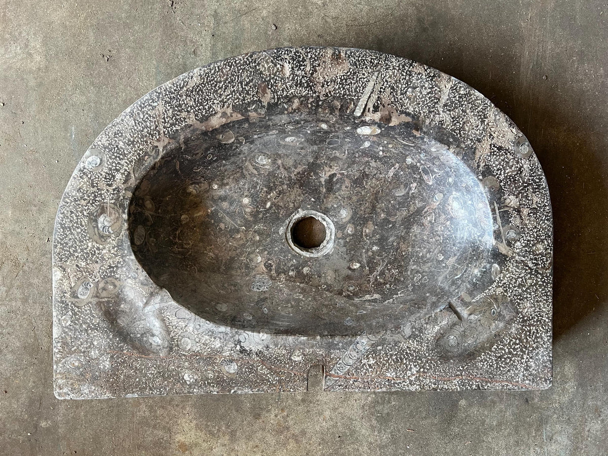 Fossil Marble Sink: Moroccan Sahara Stone Vessel, 27” x 18.5