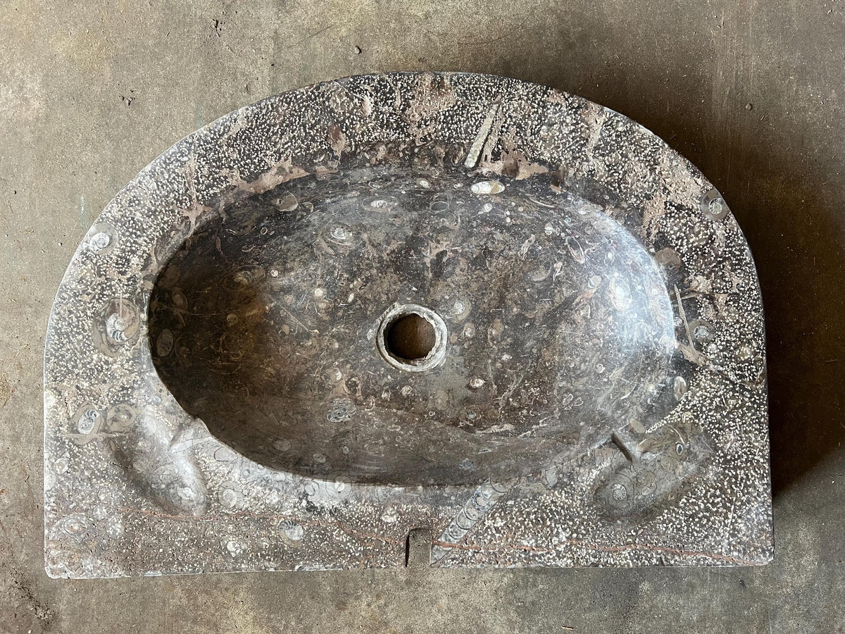 Fossil Marble Sink: Moroccan Sahara Stone Vessel, 27” x 18.5