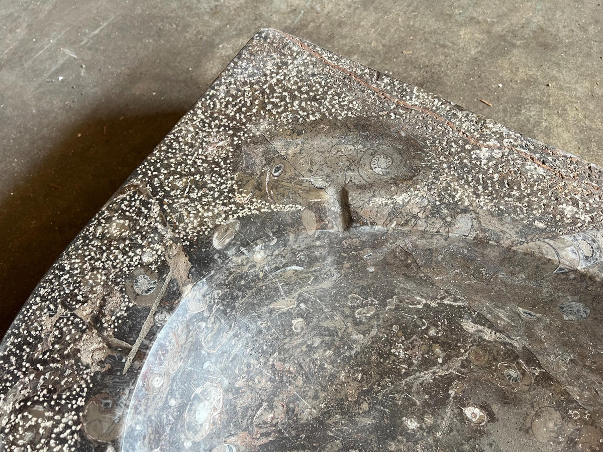 Fossil Marble Sink: Moroccan Sahara Stone Vessel, 27” x 18.5