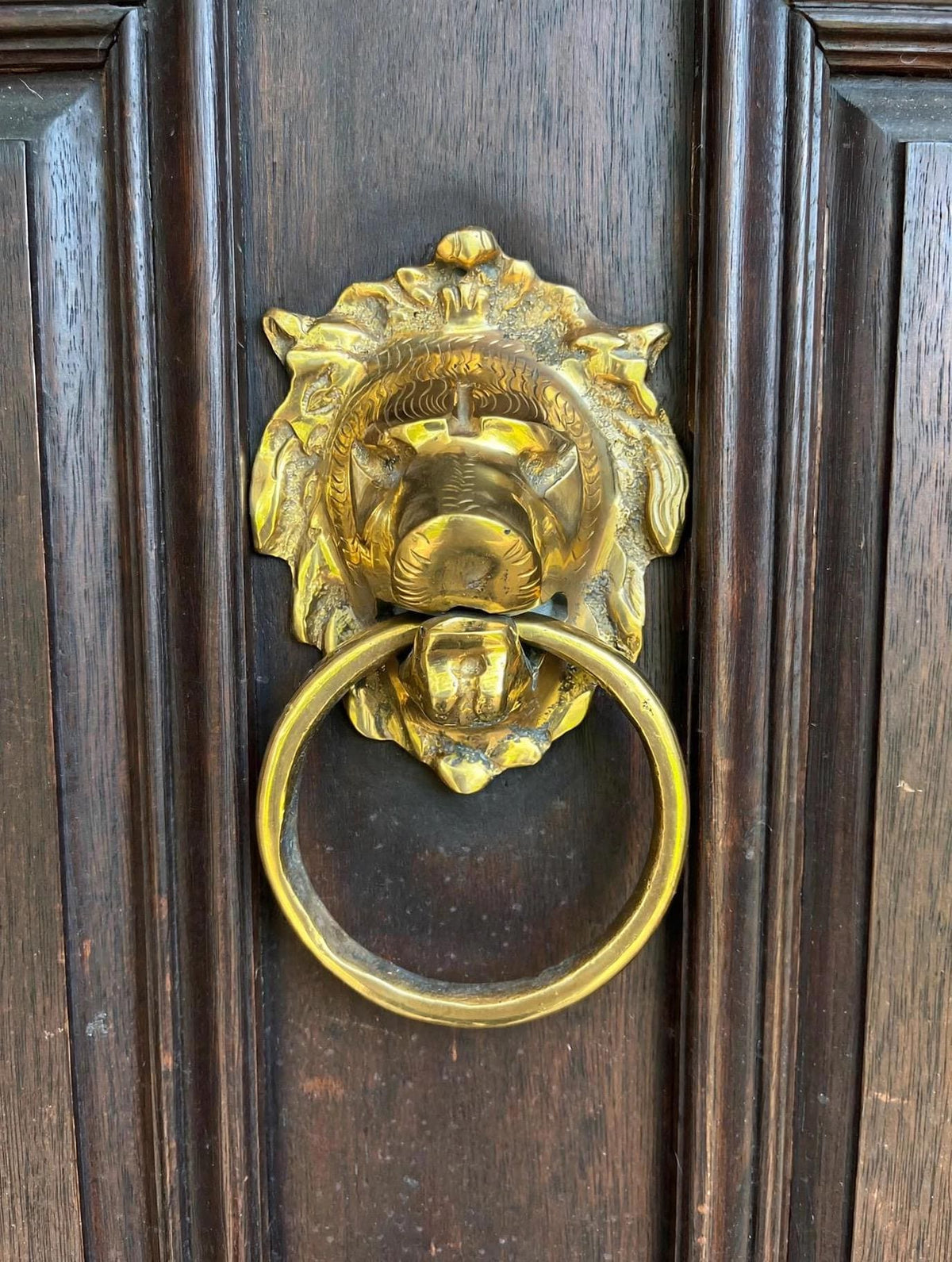Handmade Moroccan brass lion door knocker